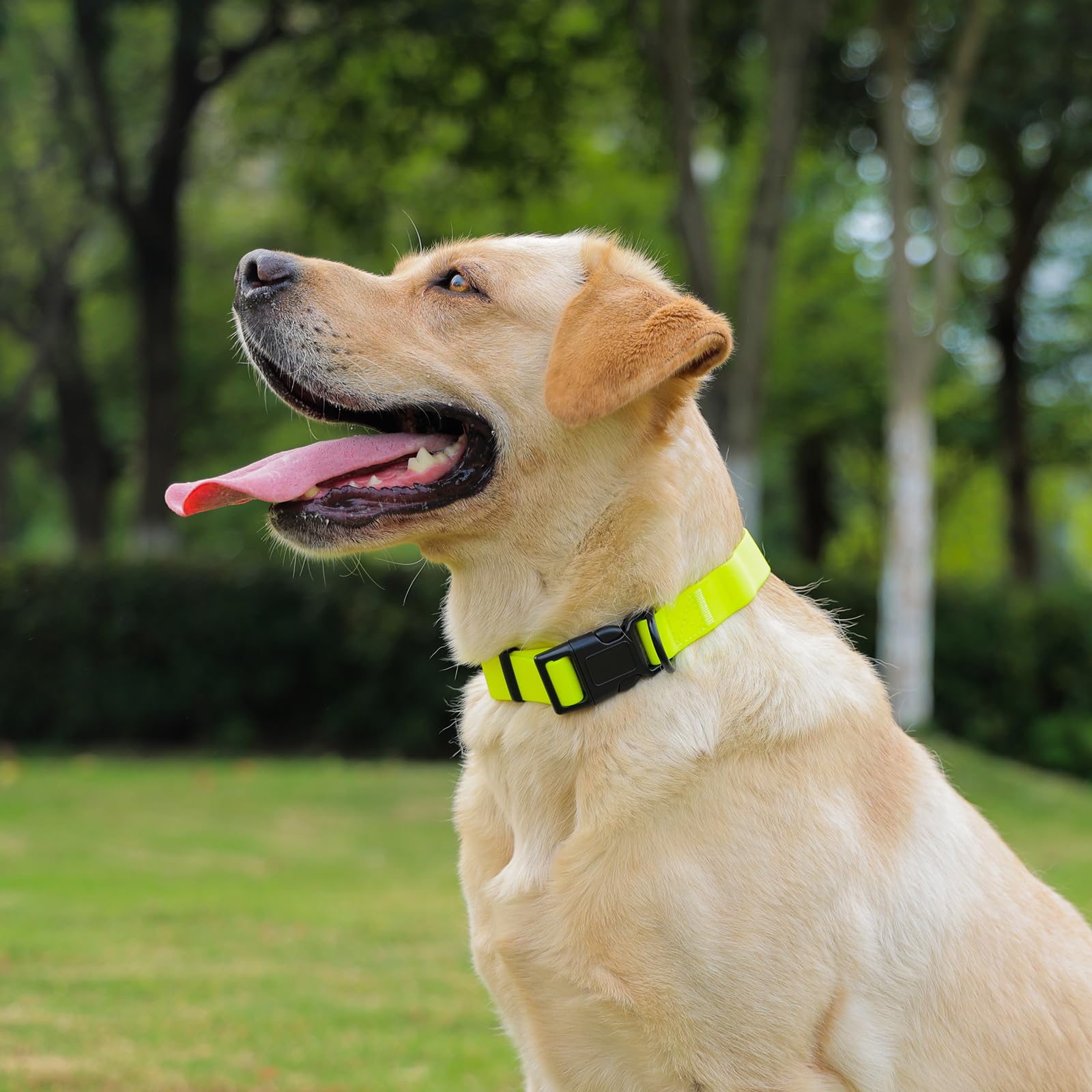 KIDDING PETS collar impermeable con ajuste para tallas pequeñas, medianas y grandes.