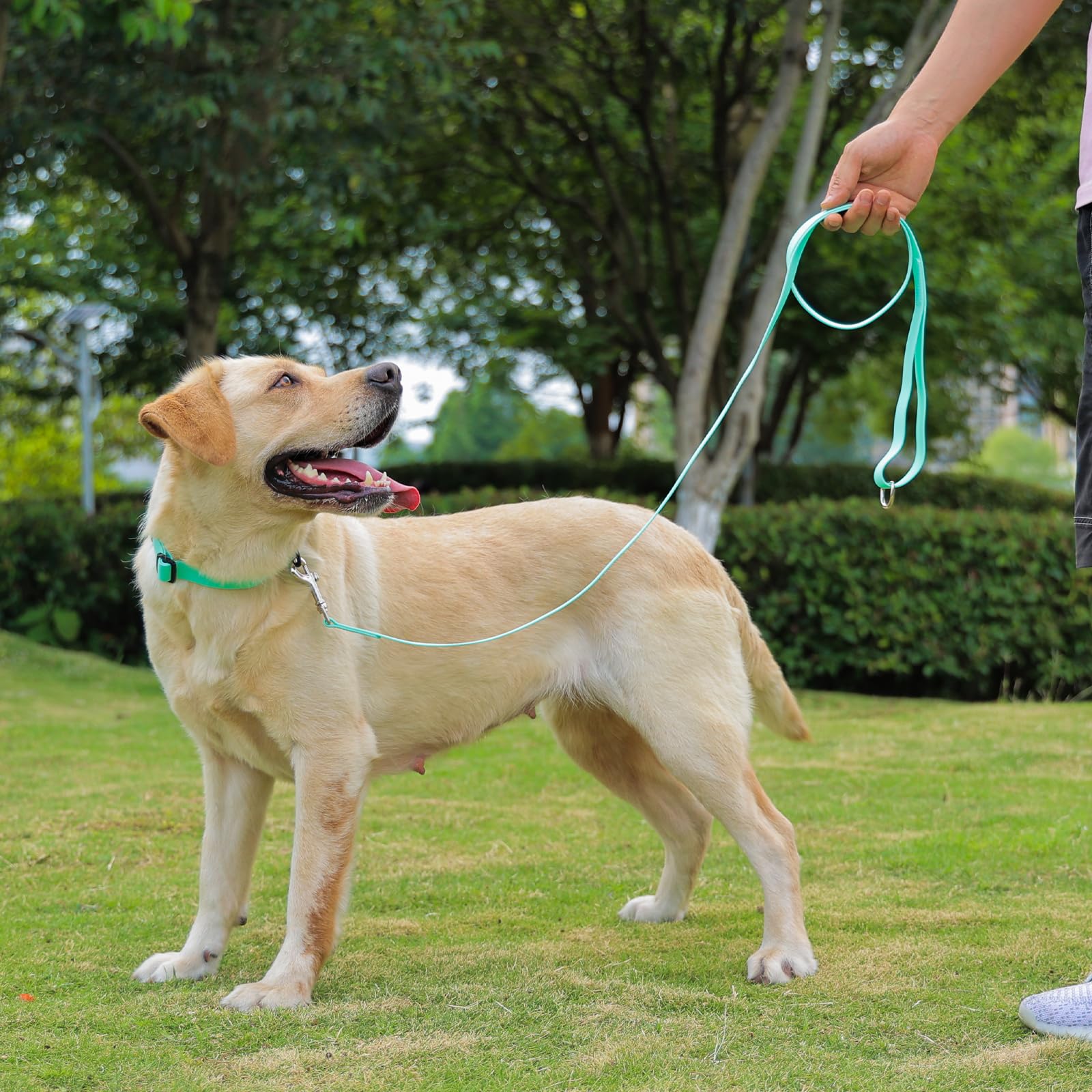 Uso diario del collar impermeable Kidding Pets para paseos y juegos al exterior en menta-verde.