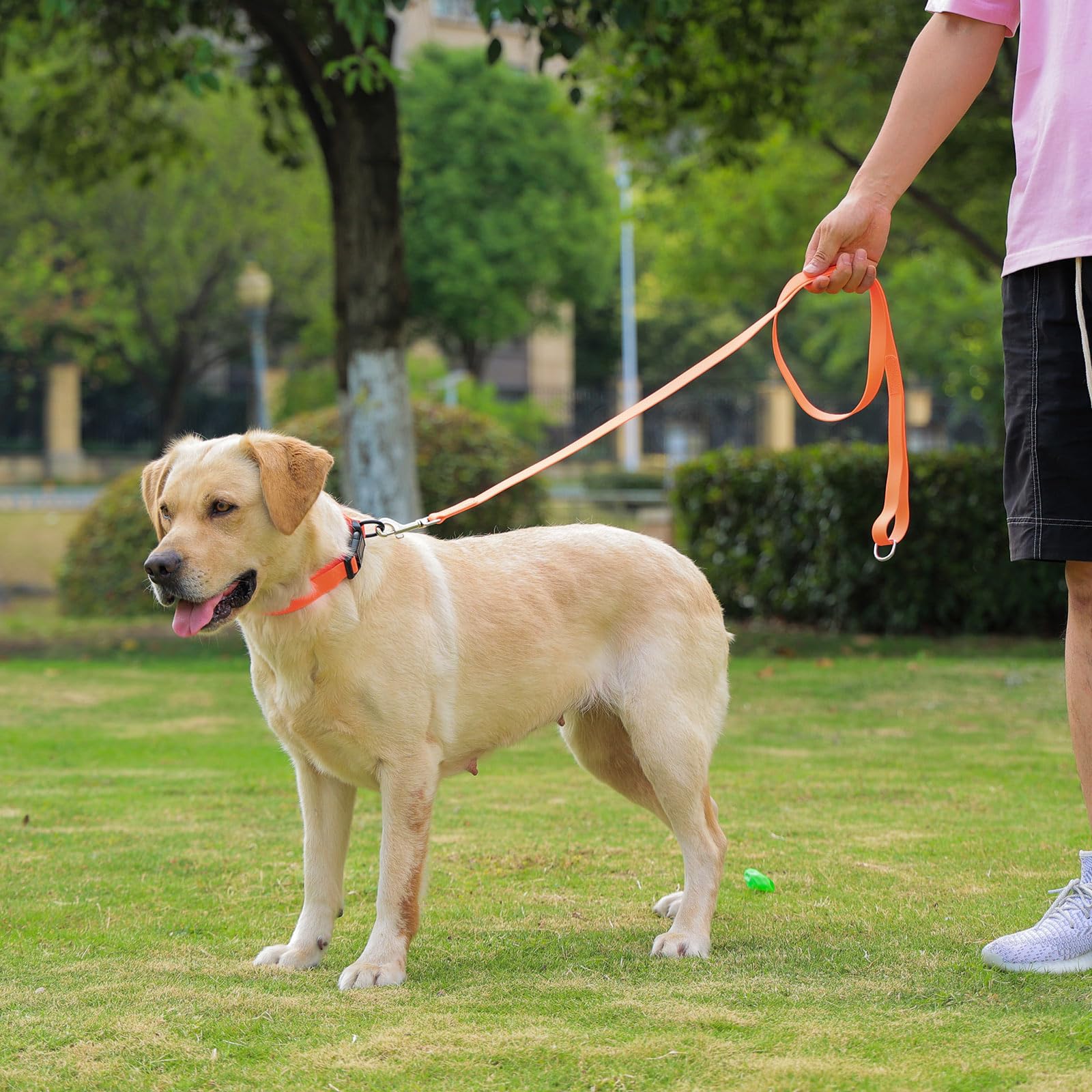 Kidding Pets multiple options help secure fit from small to large dogs