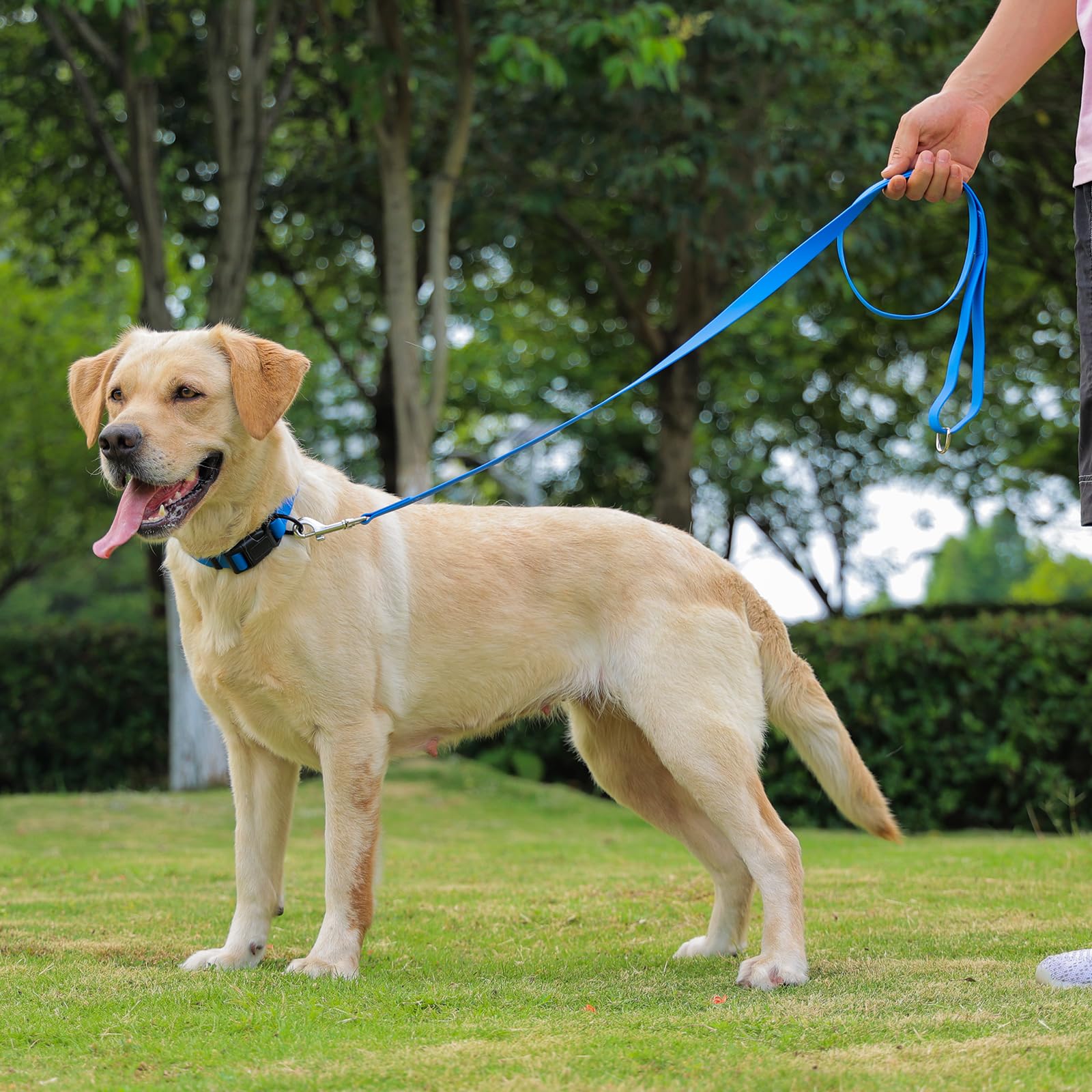 KIDDING PETS waterproof dog collar color options including blue for versatile style.