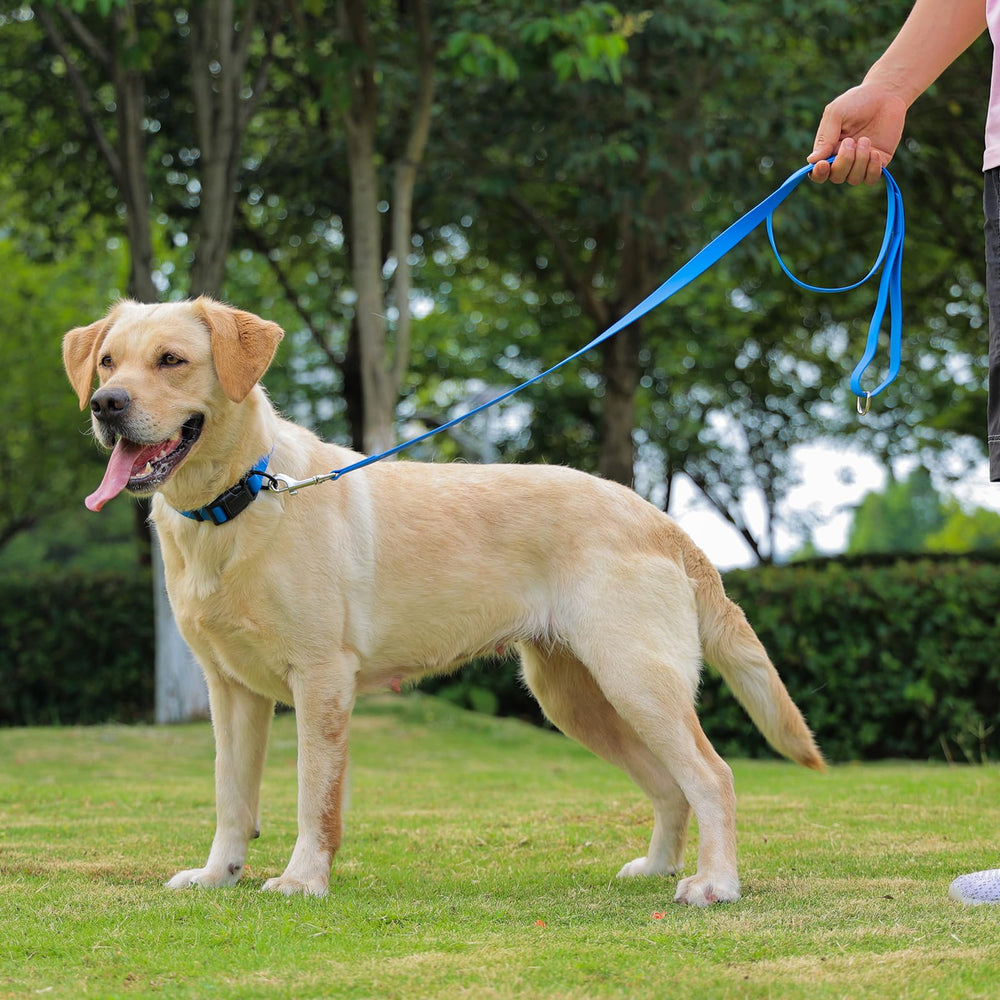 KIDDING PETS waterproof dog collar color options including blue for versatile style.