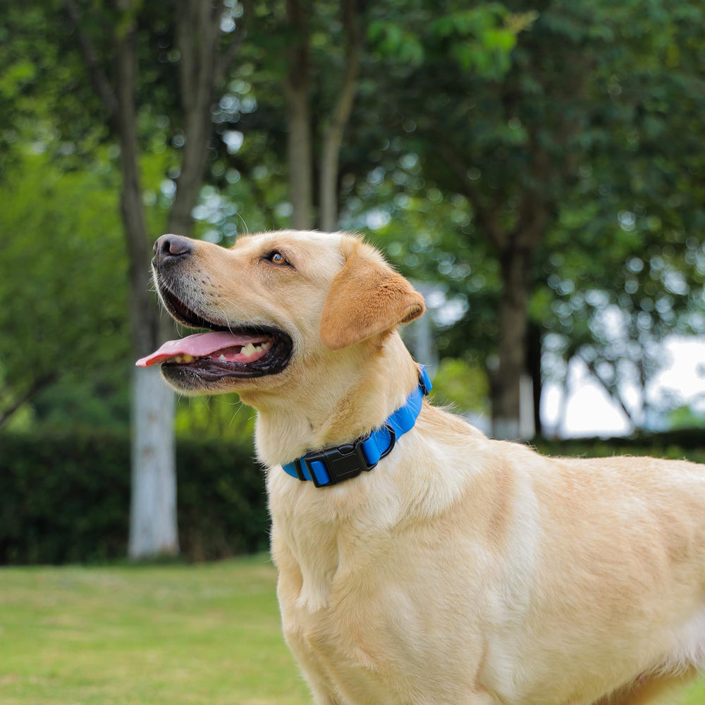 KIDDING PETS waterproof dog collar on muddy dog after outdoor play, easy to wipe clean.