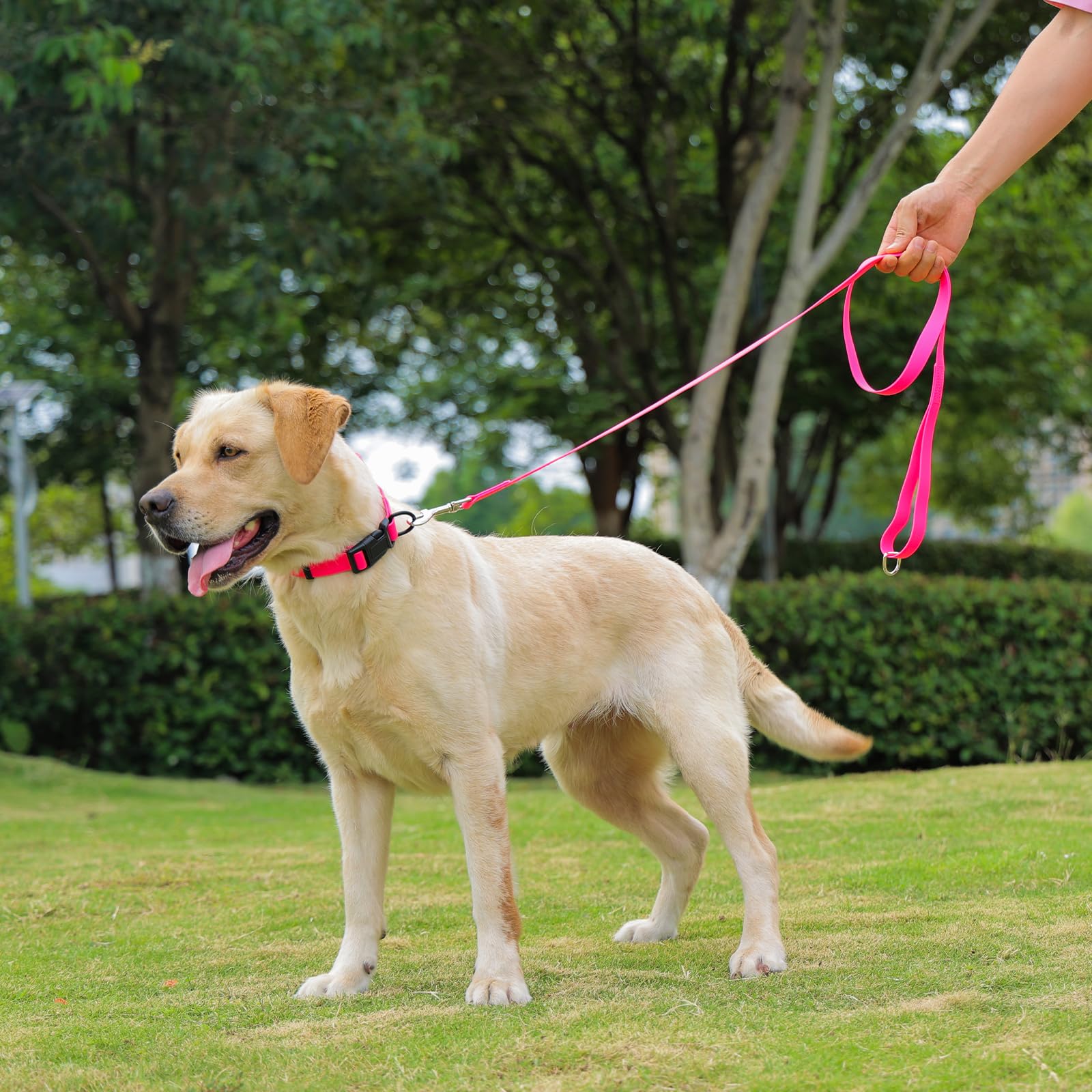 Kidding Pets pink collar ideal for beach days, park trips, daily walks.