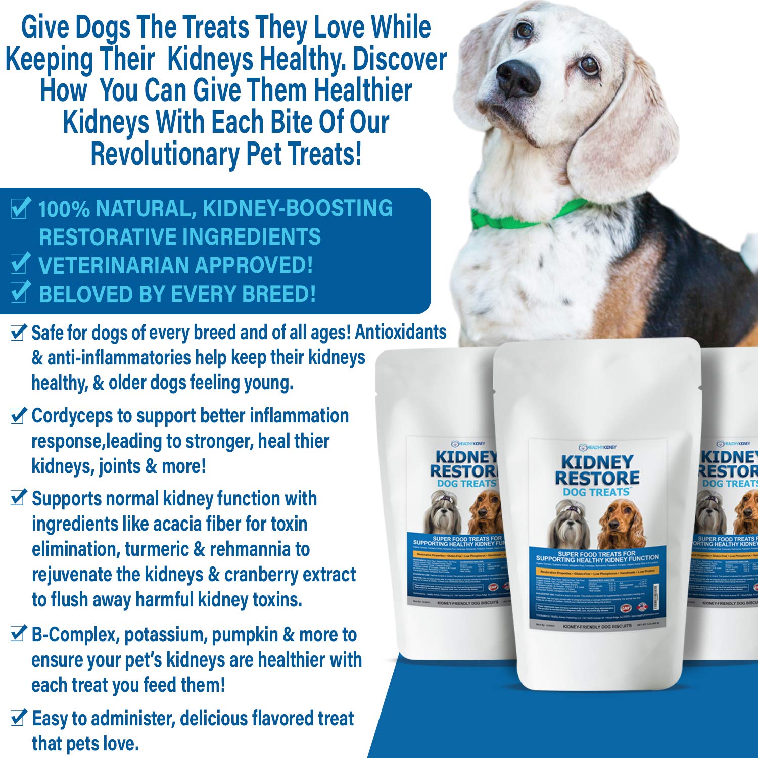 Kidney Restore dog treat featuring antioxidants and vitamins for renal-friendly routines.