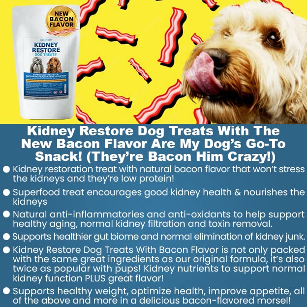 Kidney Restore bacon flavor closeup kibble showing a kidney-friendly bite