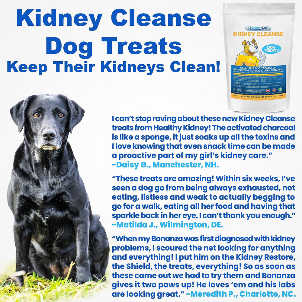 Kidney Restore dog kidney health support context suggests long-term wellness possibilities