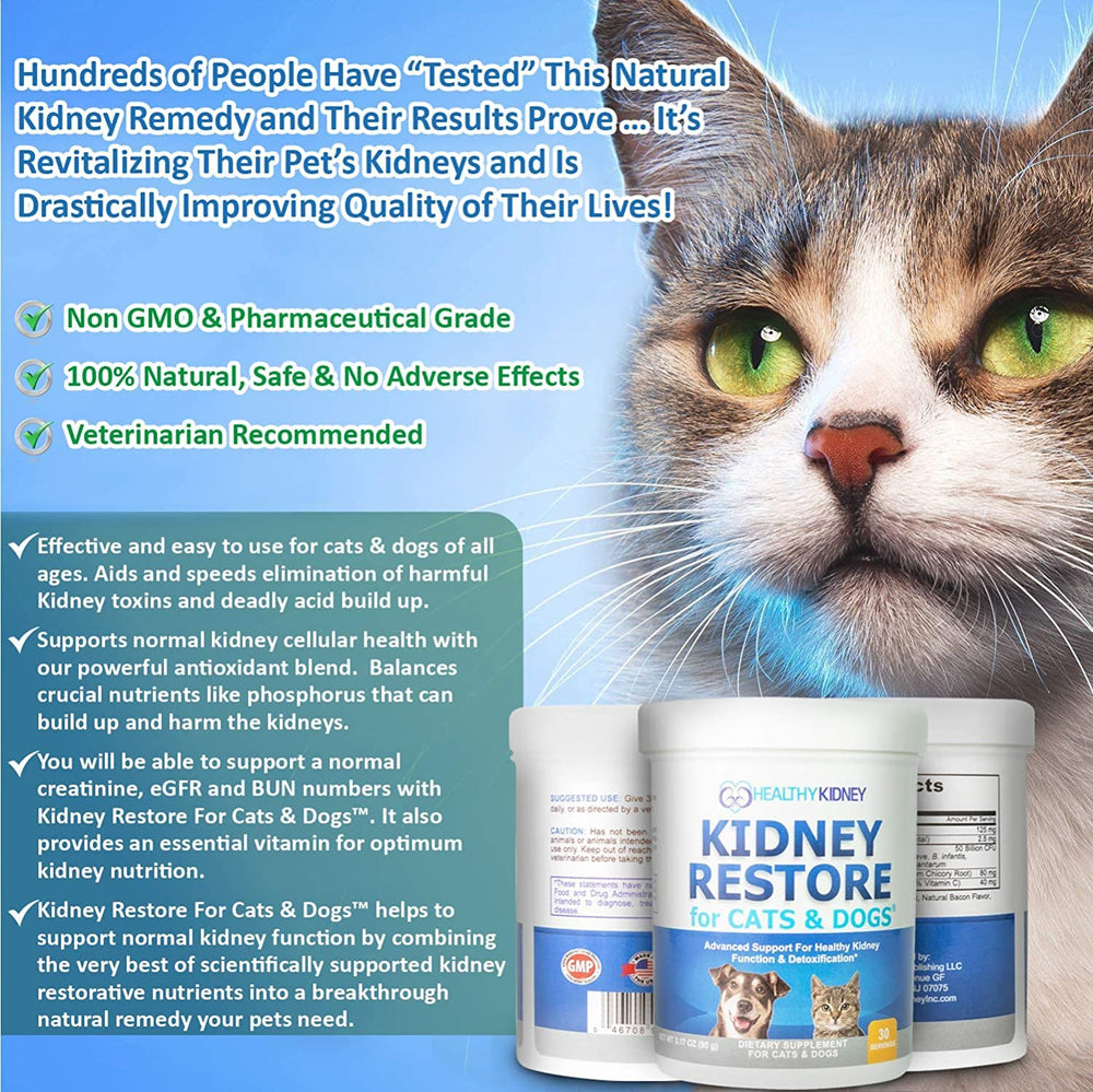Kidney Restore niacinamide supports phosphorus balance and mineral harmony