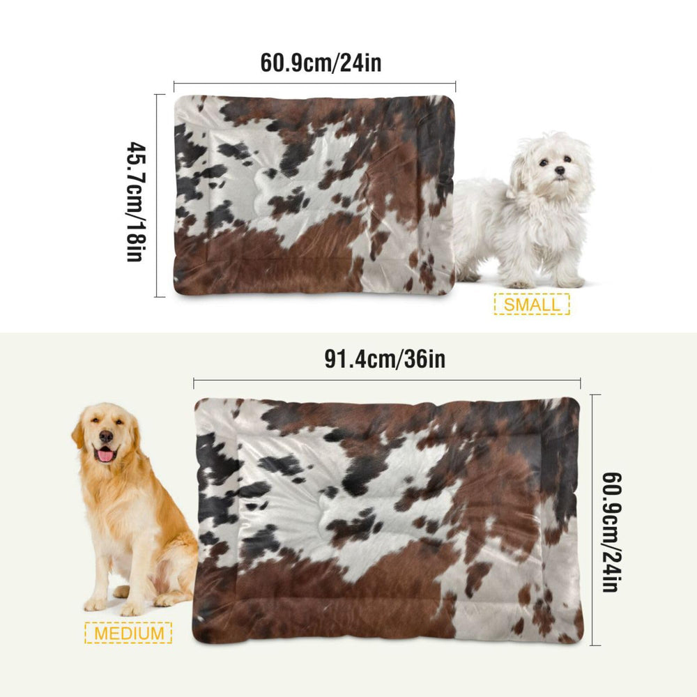 Kigai machine washable dog bed demonstrates easy-clean convenience.