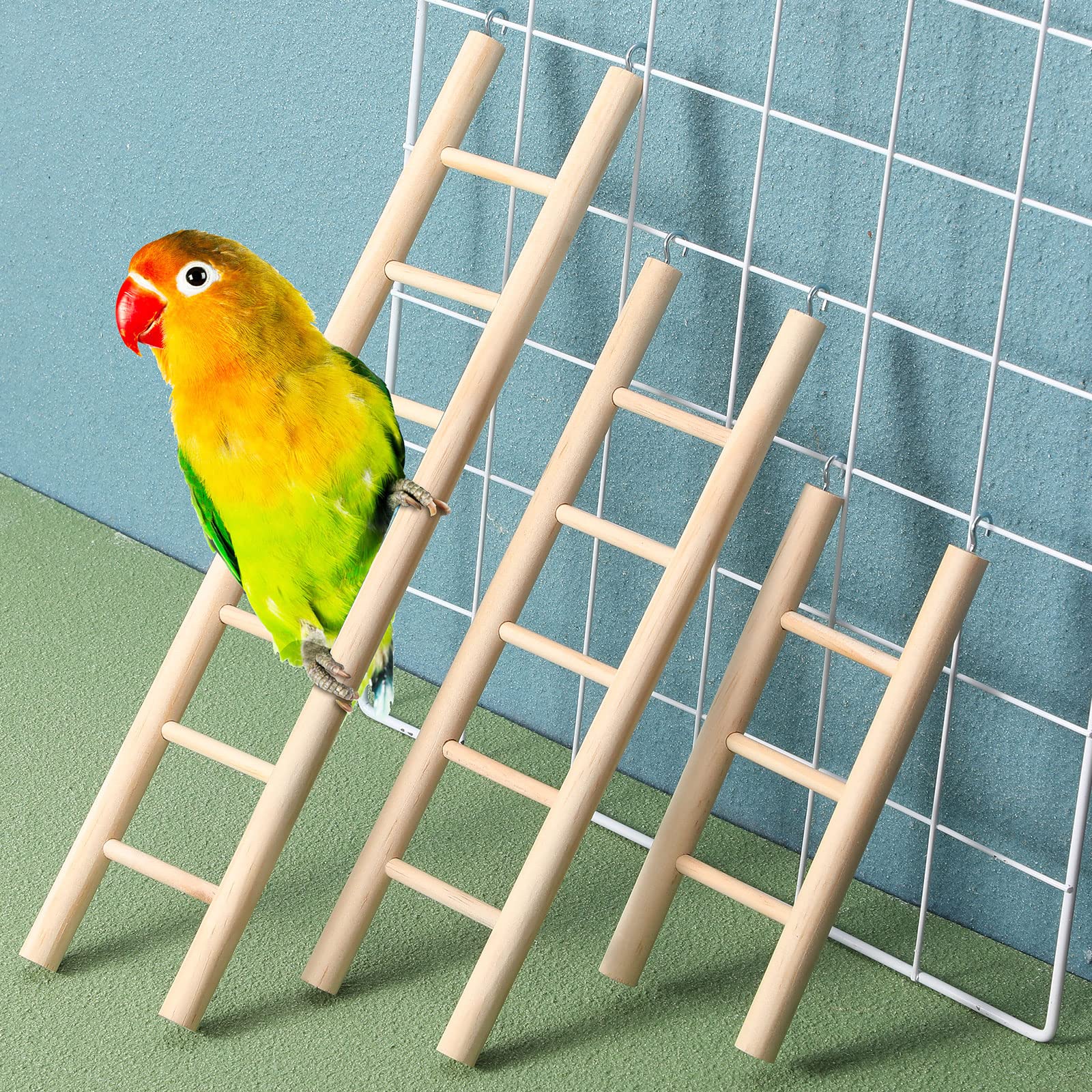 Kigeli bird-cage ladder in use shows birds climbing and playing