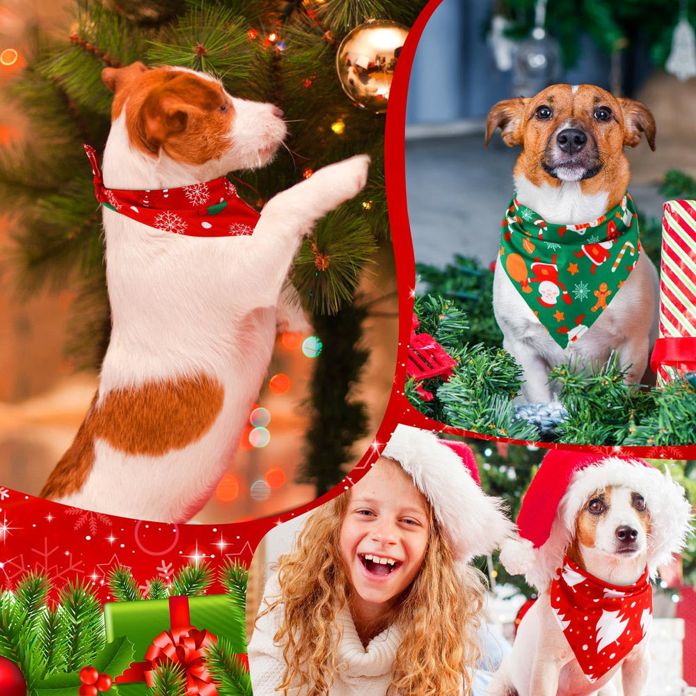 Kigeli Christmas dog bandanas photo-shoot ready for festive memories.