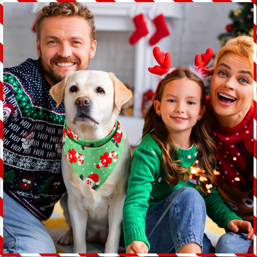 Kigeli Christmas dog bandanas washable for easy care.
