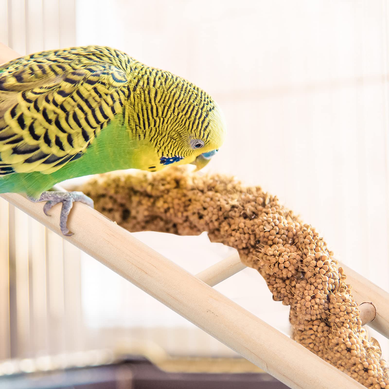 Kigeli parrot-play wood-ladder on cage perch encourages exercise