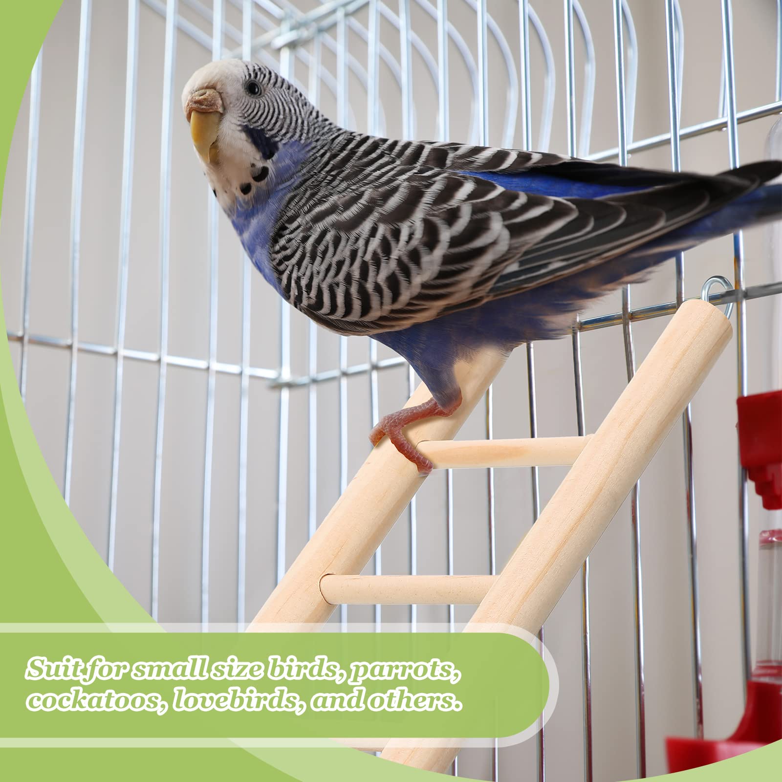 Kigeli versatile-bird-toy-ladder used across small to large birds