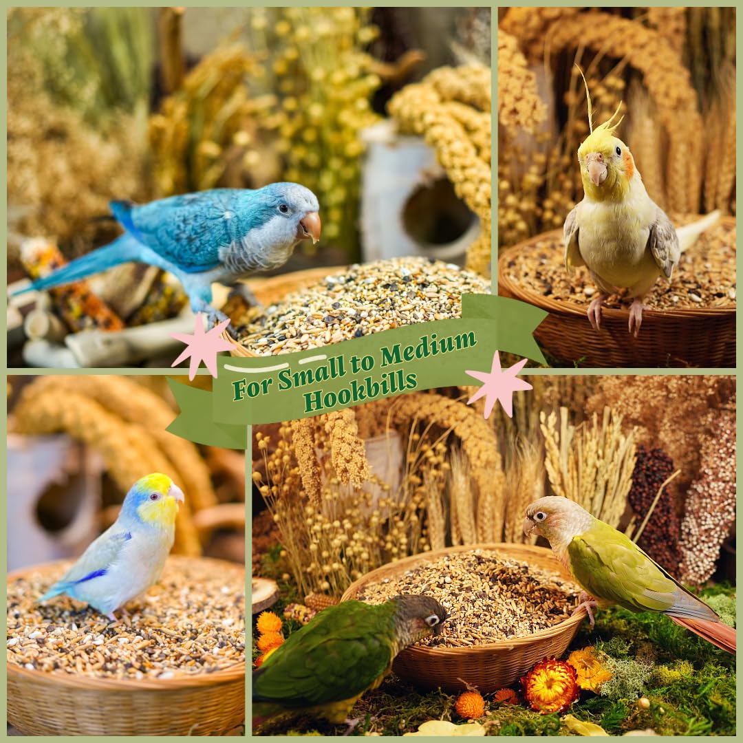 KikiBirds Sin Maíz, Soja y Cacahuates, opción limpia para la dieta.