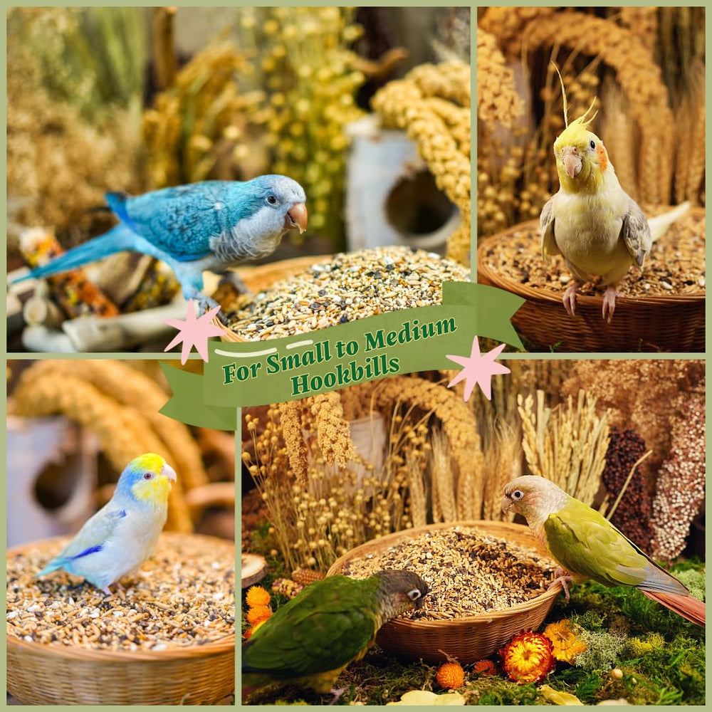 KikiBirds Sin Maíz, Soja y Cacahuates, opción limpia para la dieta.