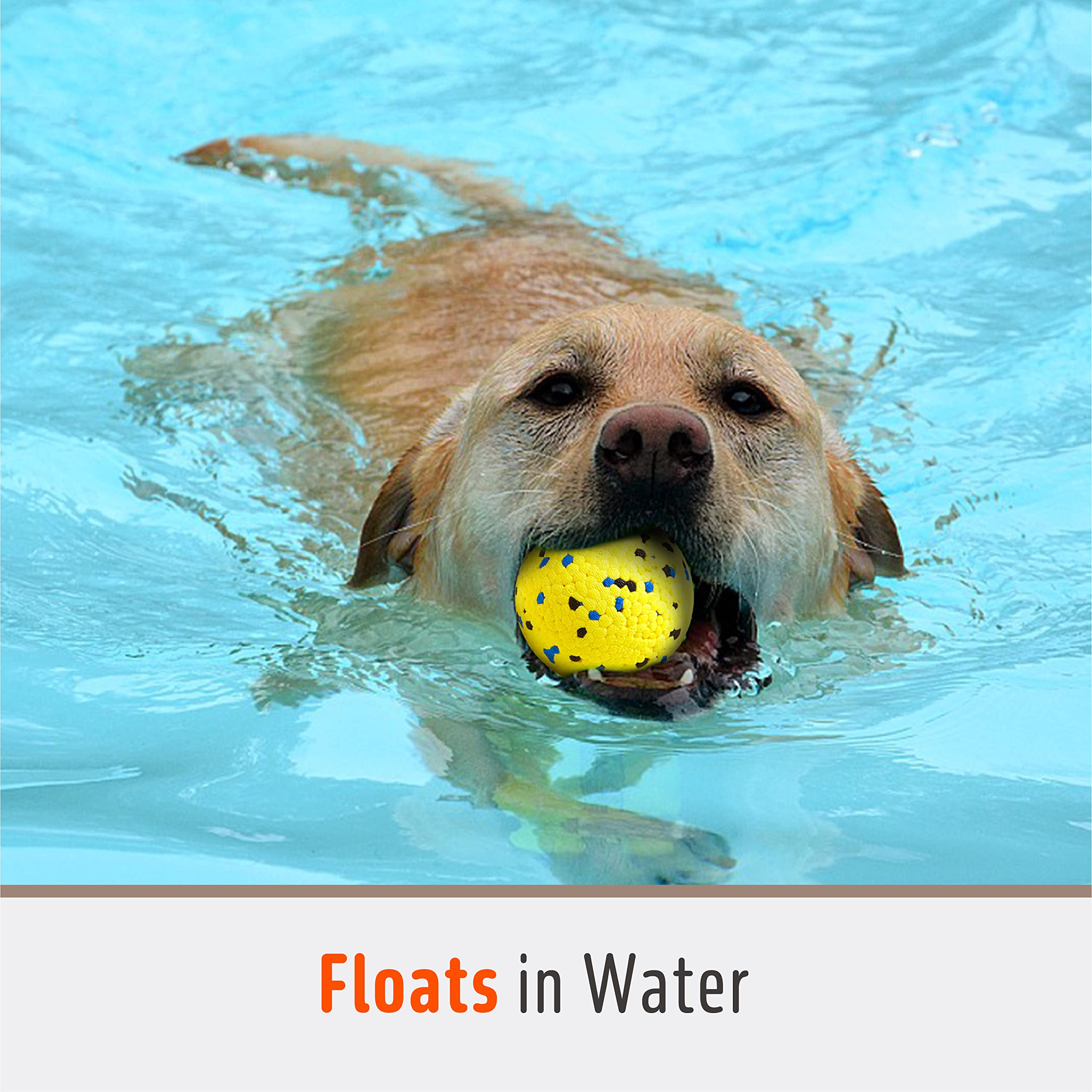 Kimee 3.9-inch ball textured surface helps remove food residues during chew.