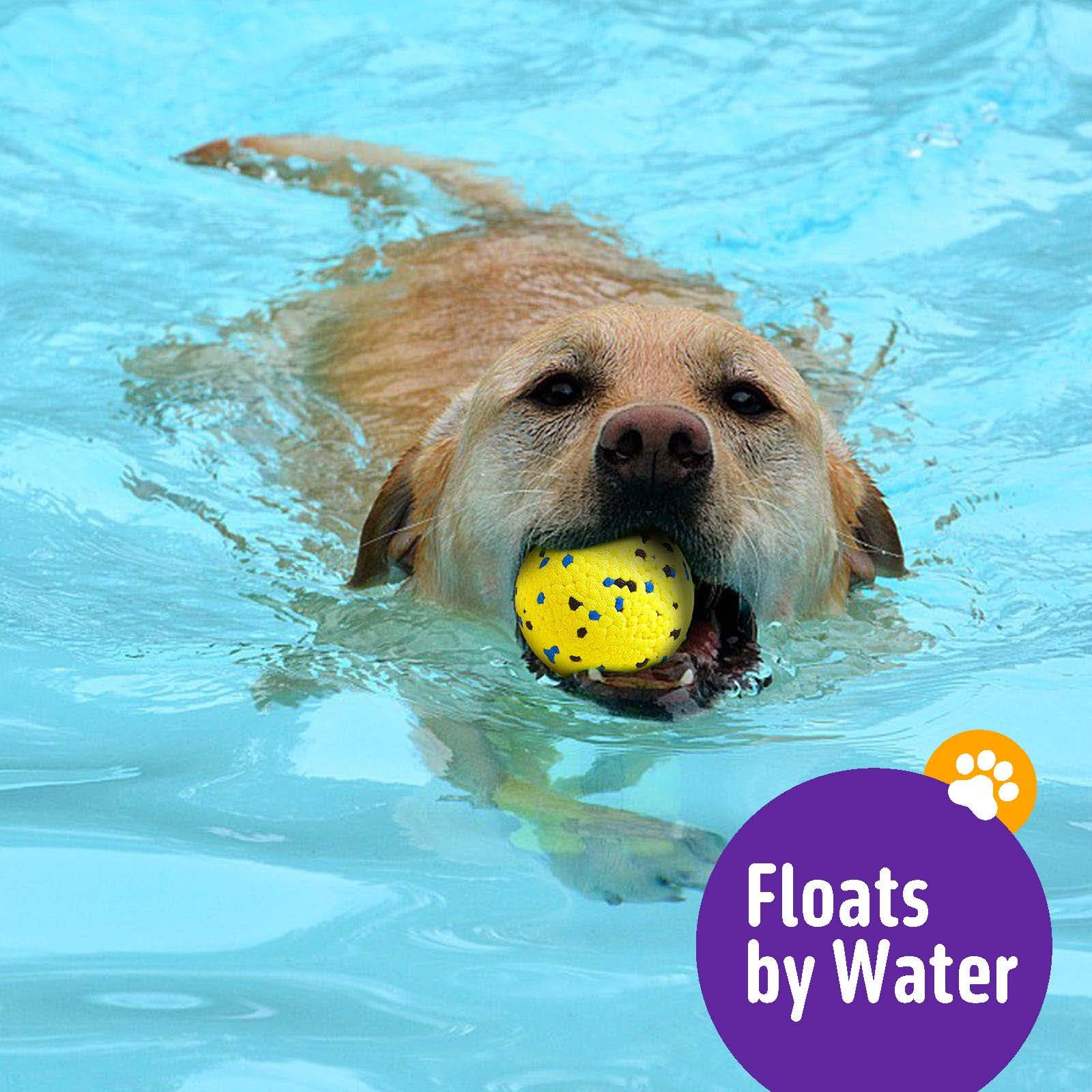 Kimee dog balls 60-day warranty ensures peace of mind.