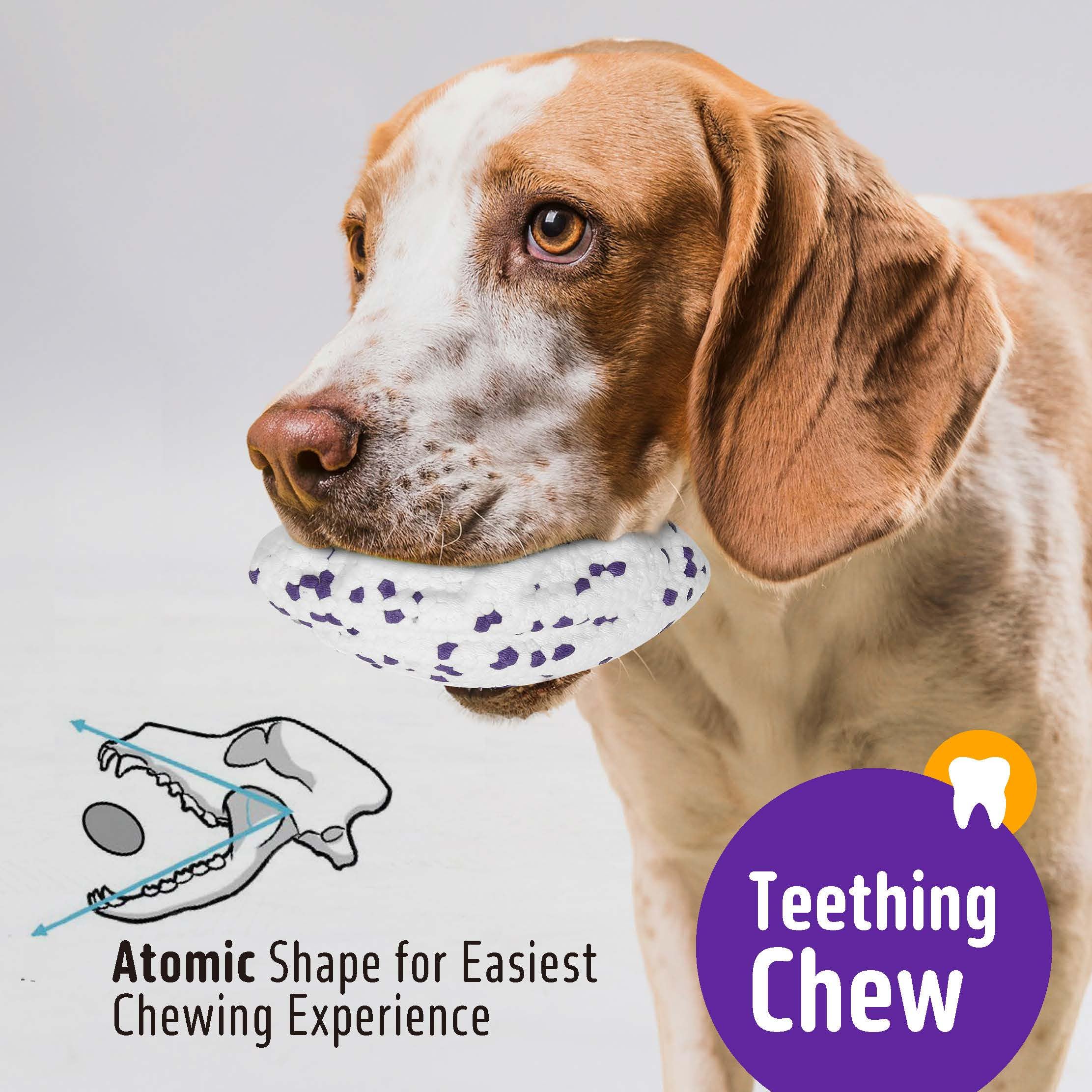 Kimee dog balls textured surface helps remove debris during chew.