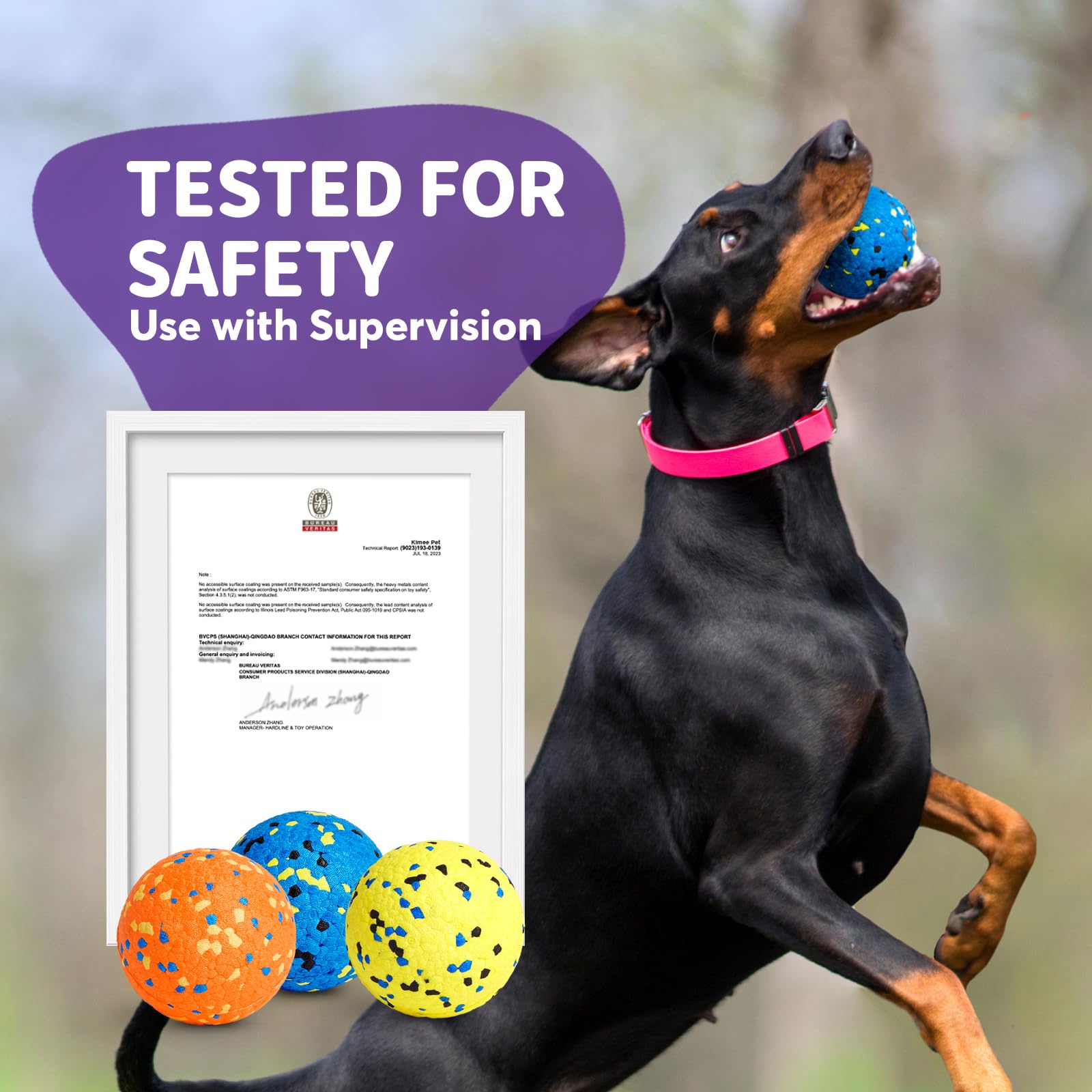 Kimee dog balls being used by a dog for confident play