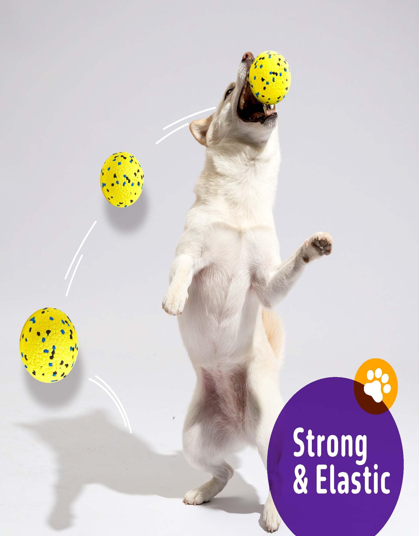 Kimee dog balls floats for pool or beach fun.
