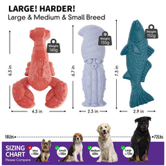 Kimee sea-bass-design dog toy stimulates curiosity and strong-chewer engagement.