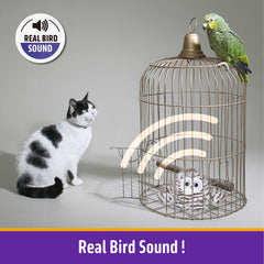Kimee owl toy washability ensures quick cleaning after lively sessions.