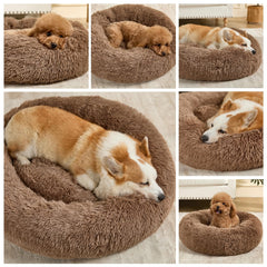 Kimpets washable dog bed shown with easy cleaning in mind for paw hygiene.
