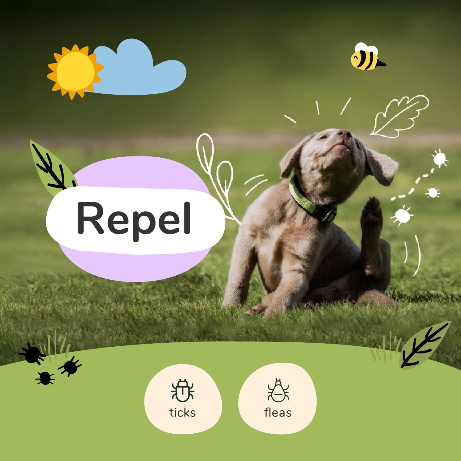 kin-kind flea tick spray misting action shows quick even coverage for dogs