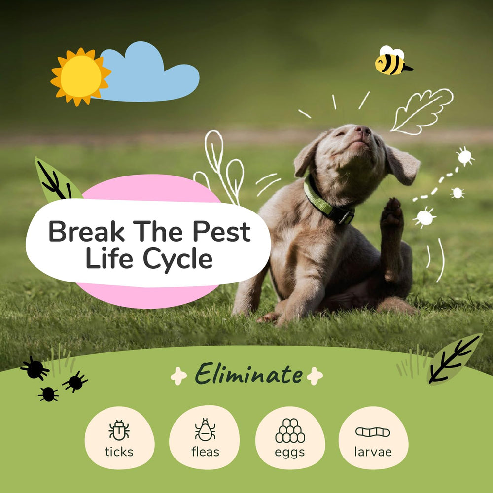 kin+kind Flea & Tick shampoo bottle back label—vet-formulated and USA-made.