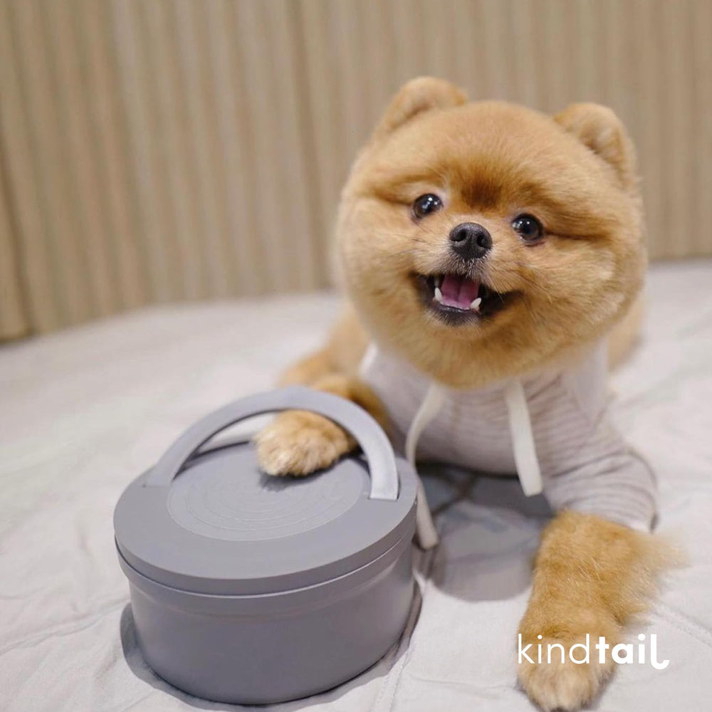 KindTail dishwasher and microwave safe for simple cleaning after adventures