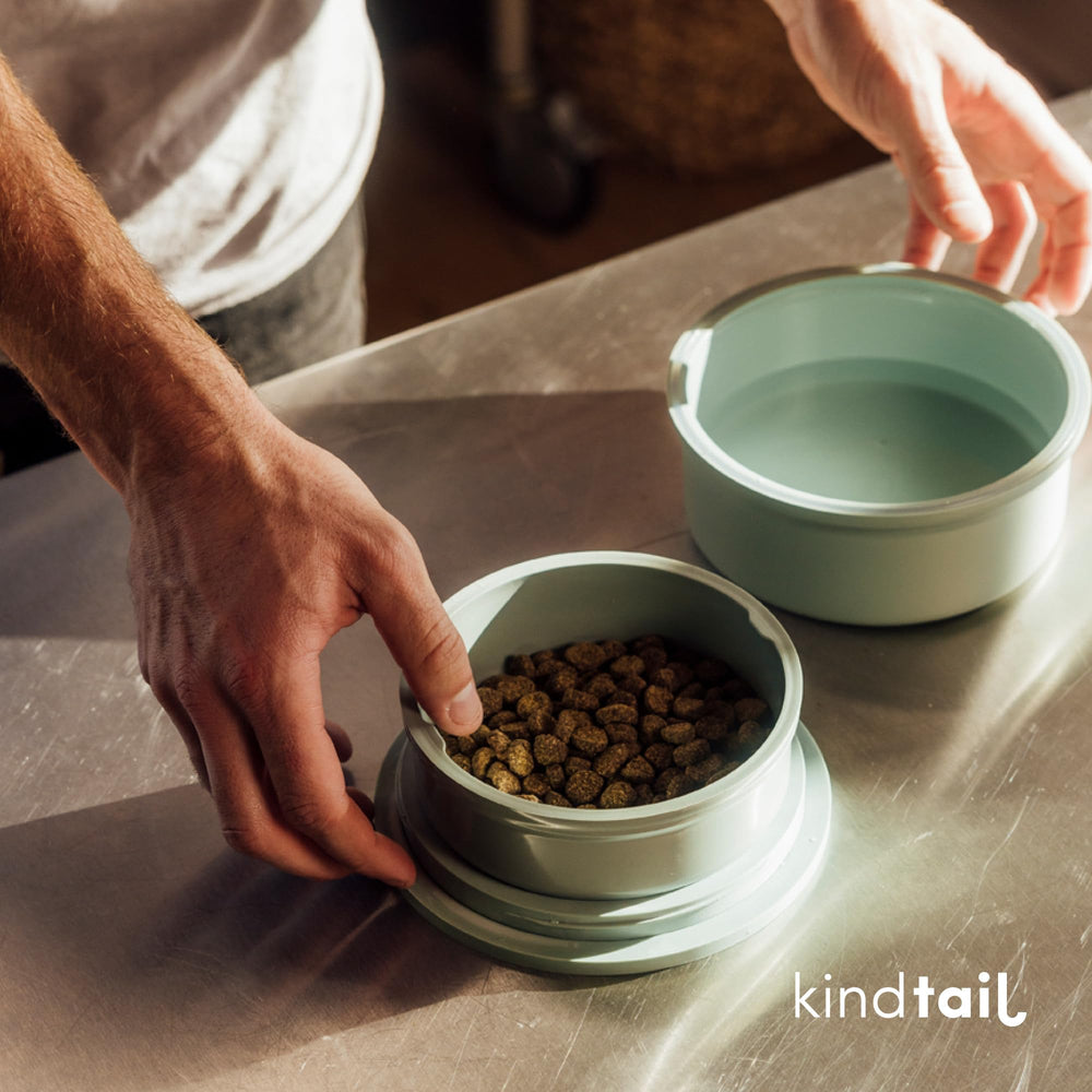 KindTail BPA-free and toxin-free materials support safe, everyday use.