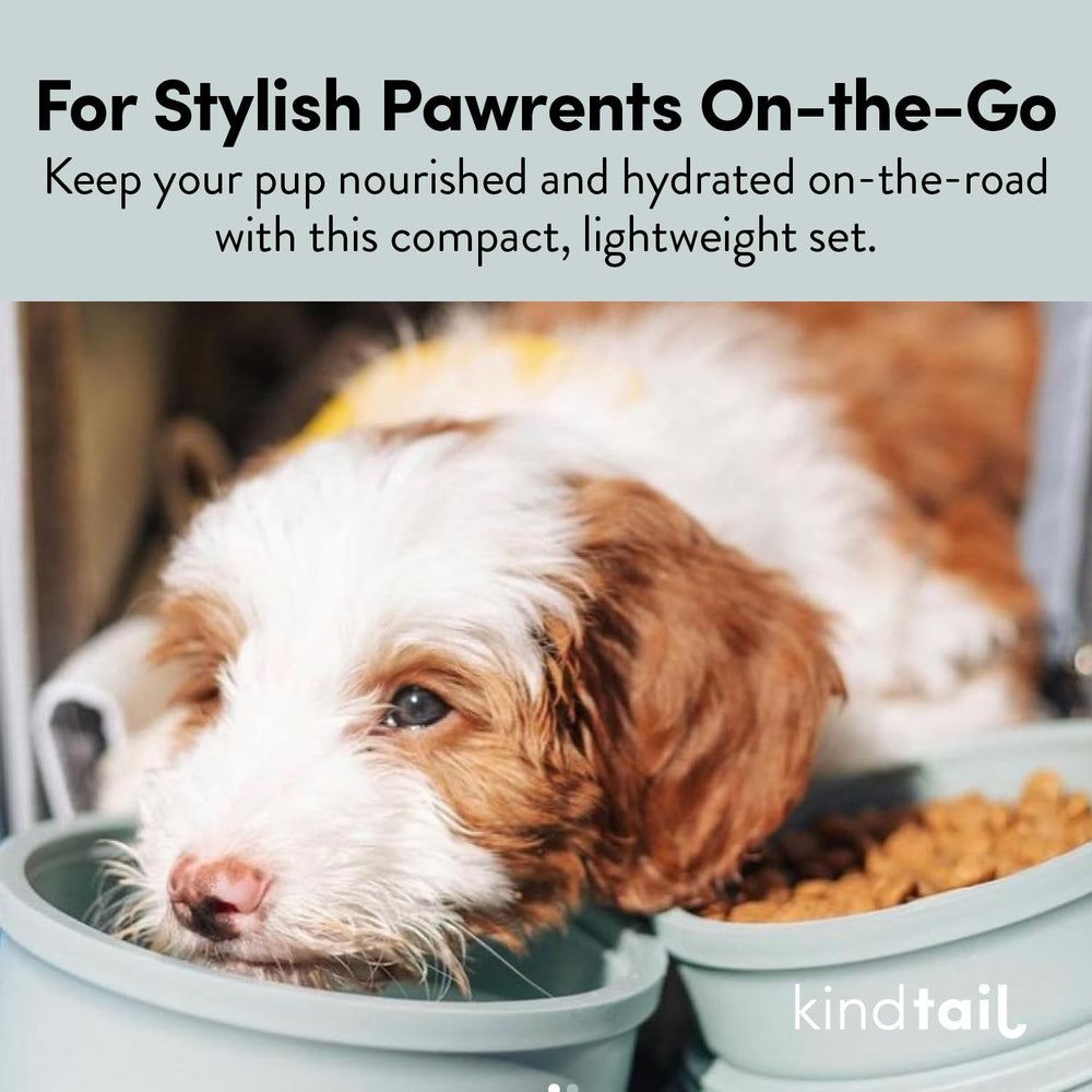 KindTail compact design fits under 25 lb dogs, ideal for cars or backpacks.