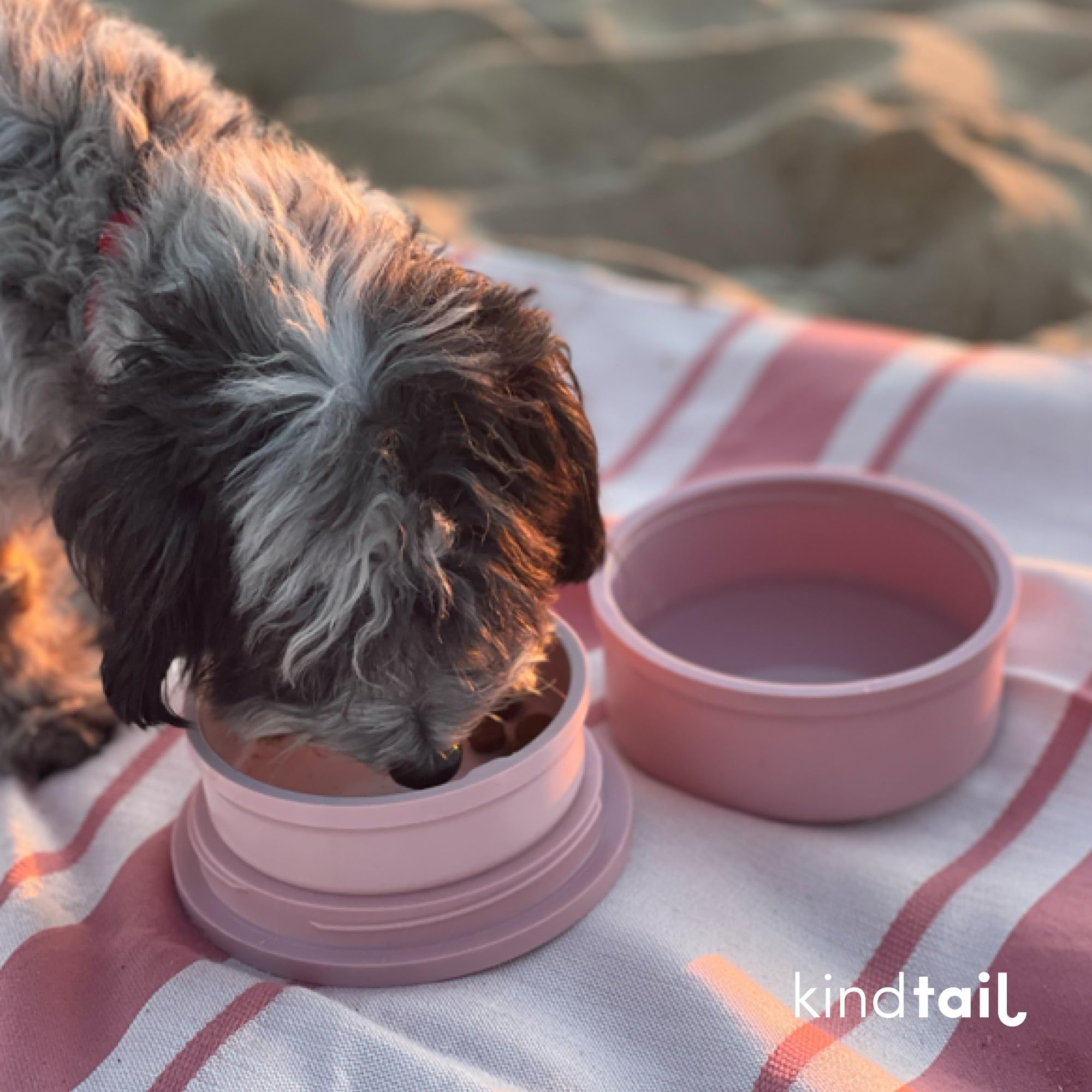 KindTail microwave-safe and dishwasher-safe bowls simplify cleanup after adventures.