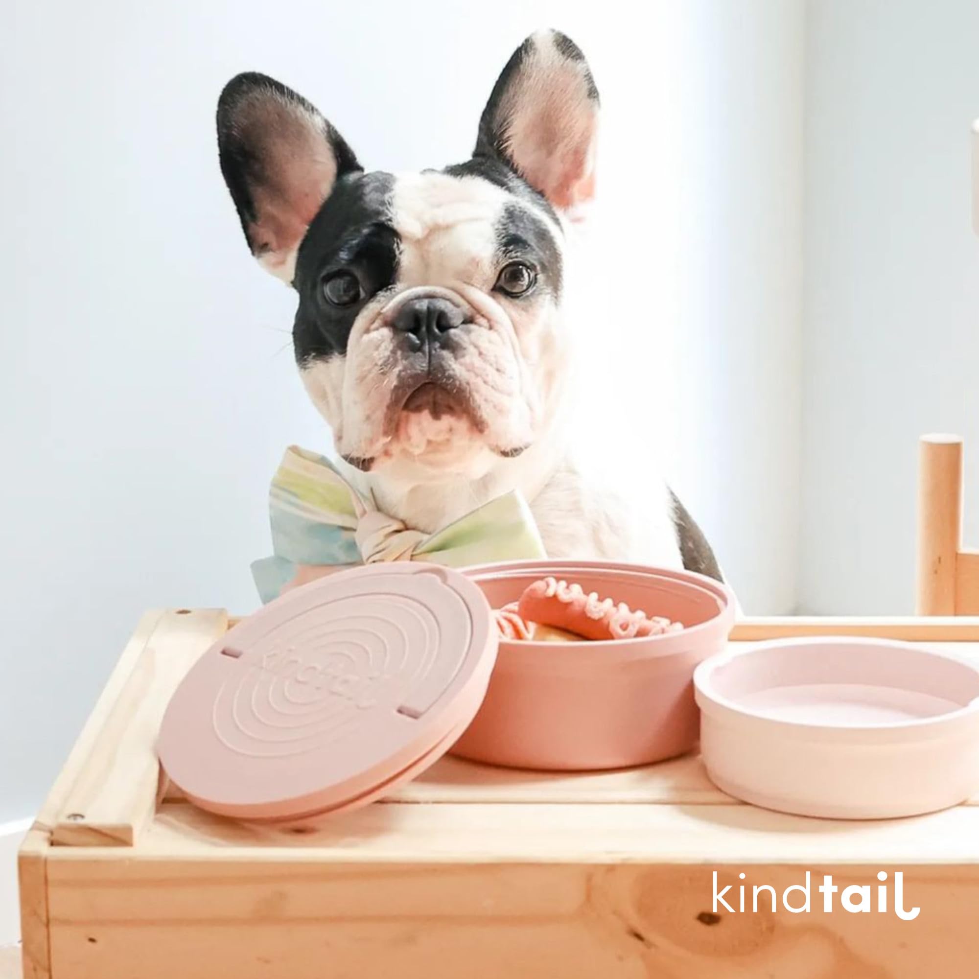 KindTail on-the-go dog bowls make park picnics and errands easier.