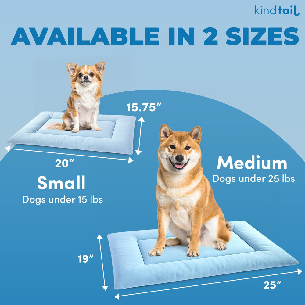 KindTail machine-washable dog bed demonstrates easy cleaning and quick refresh after adventures