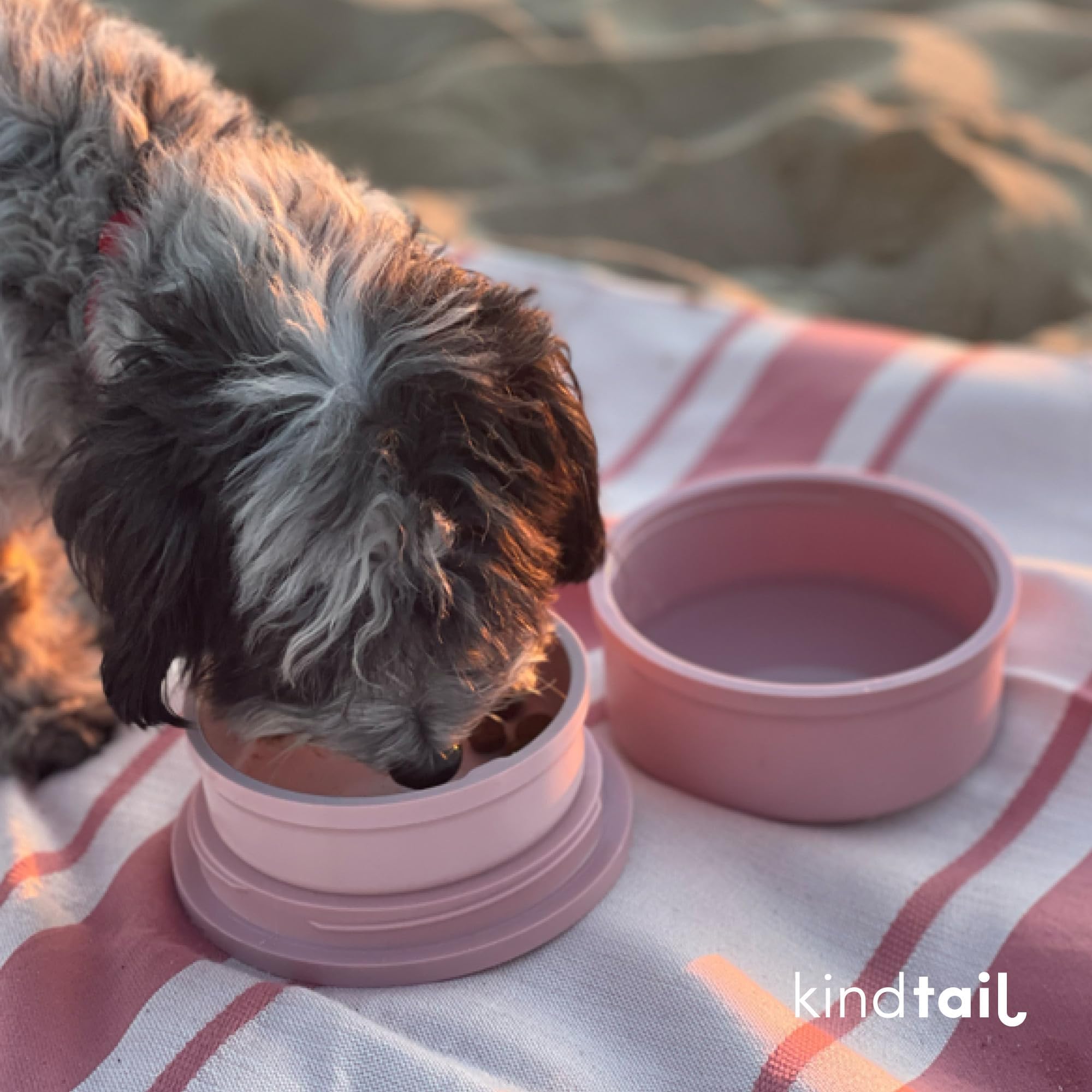 KindTail on-the-go use at park or errands for convenient pup nourishment