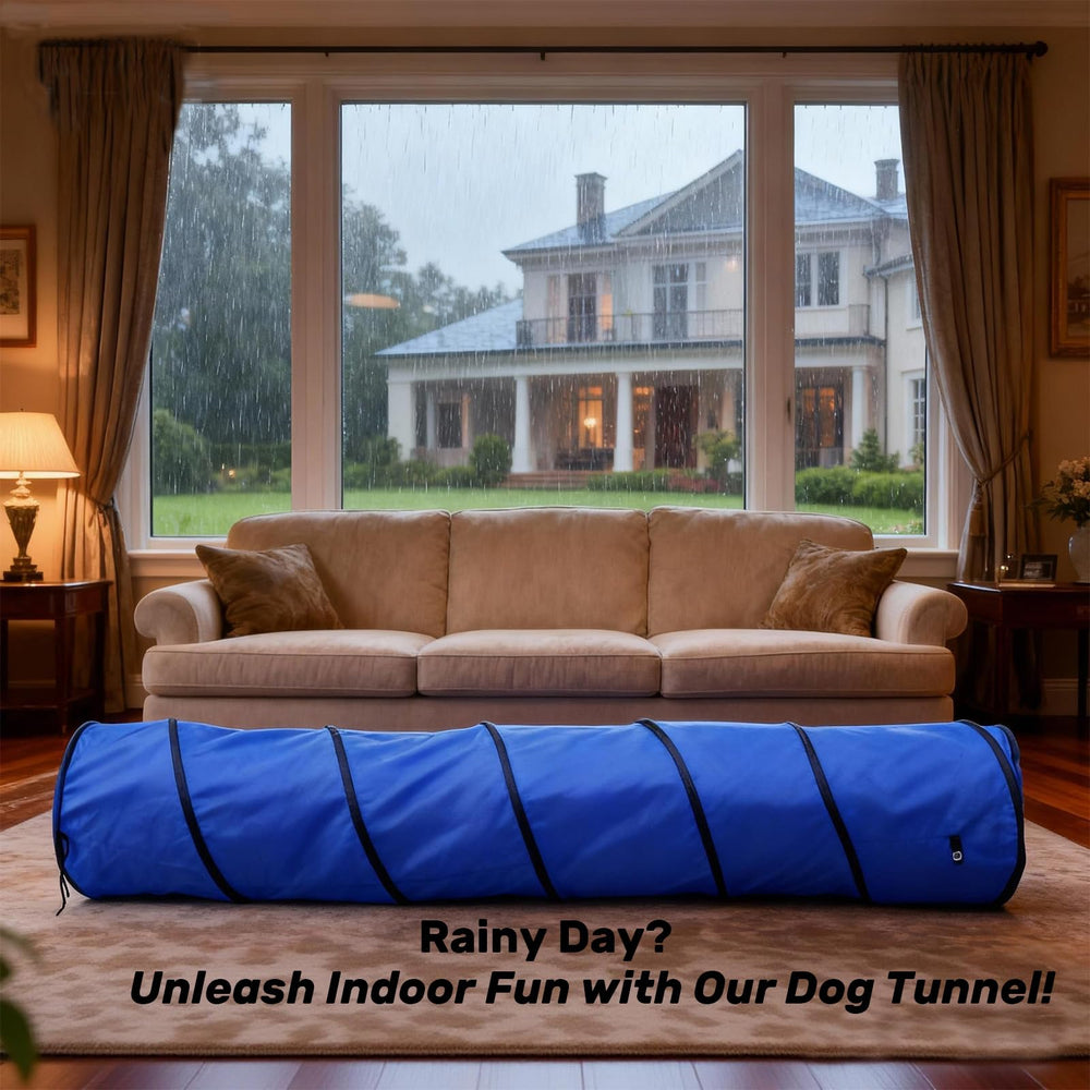 KINETOVOLTA 10-foot tunnel entrance, spacious for most breeds.