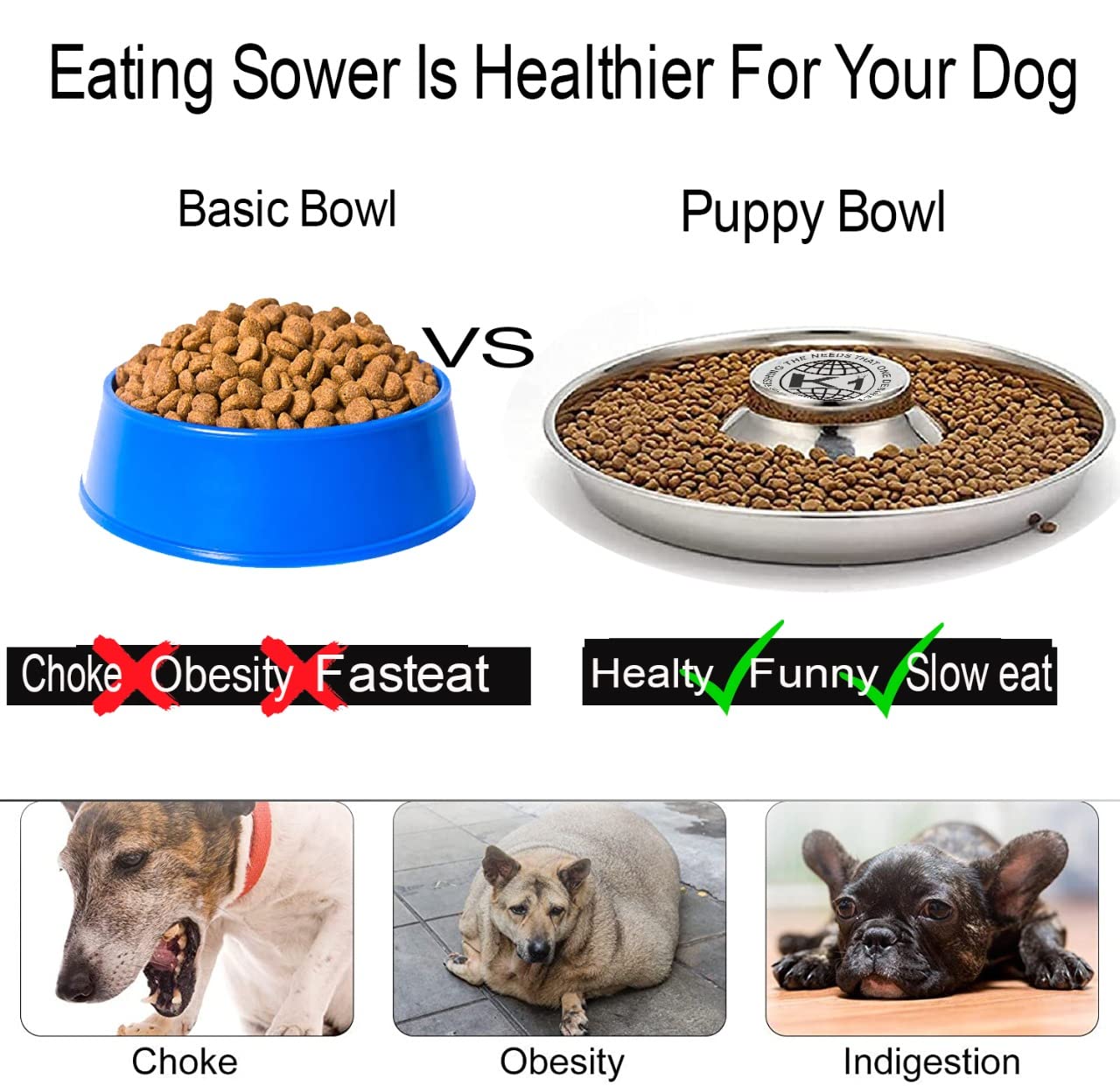 King International Puppy Bowl dishwasher-safe feature simplifies cleanup after meals