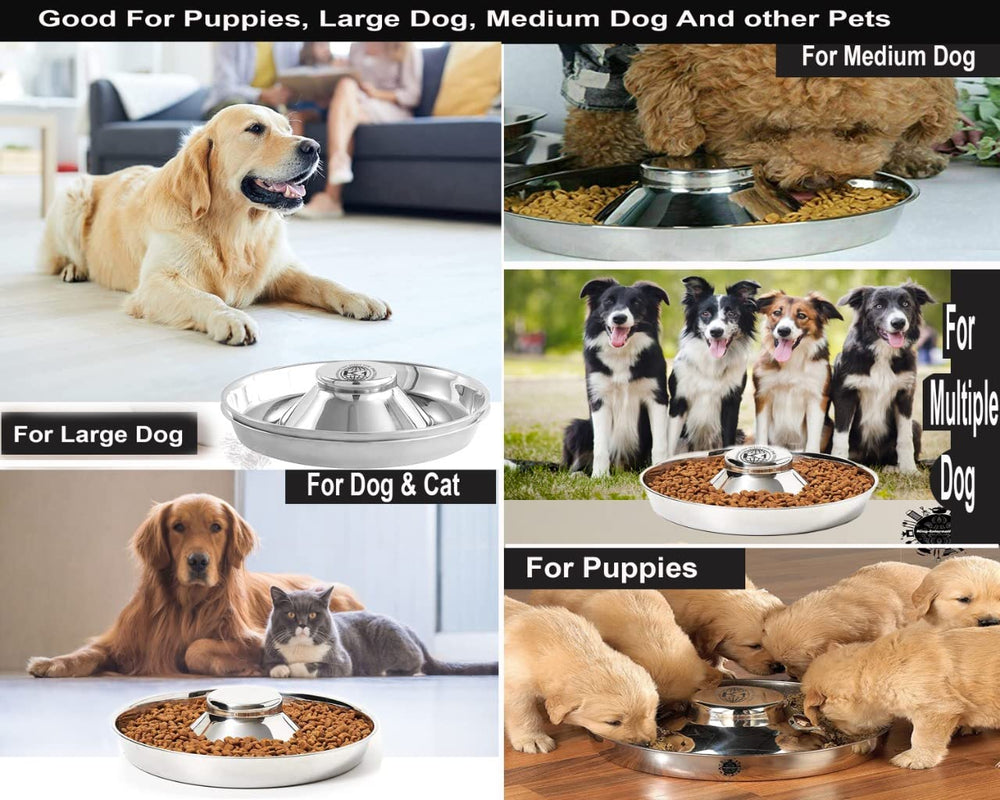 King International Puppy Bowl raised center design helps paws stay away during meals