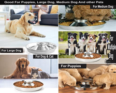 King International Puppy Bowl raised center design helps paws stay away during meals