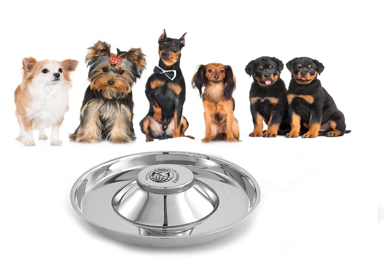 King International three-piece set image shows versatile use for growing puppies