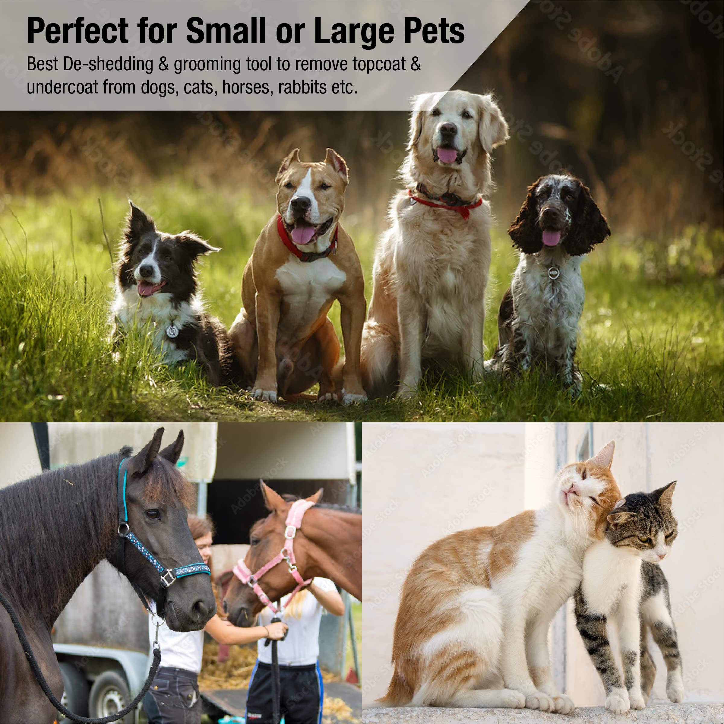 King Kanine multi-use brush for dogs, cats, and horses ready to tackle shedding.