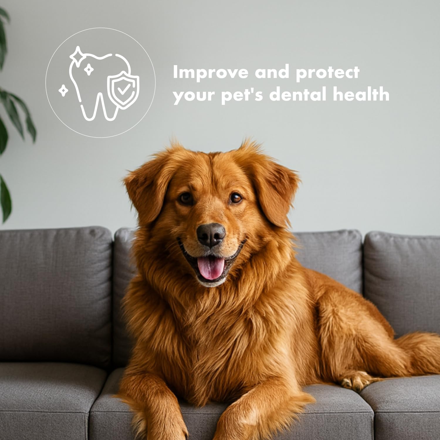King Lou All Breeds Chicken Feet Chews image demonstrates versatile treat for dogs of all sizes