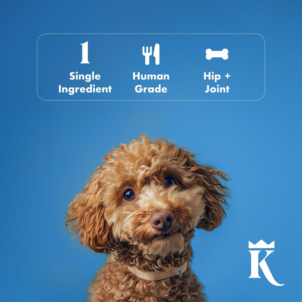 King Lou No Artificial Flavors Colors image emphasizes additive-free nutrition