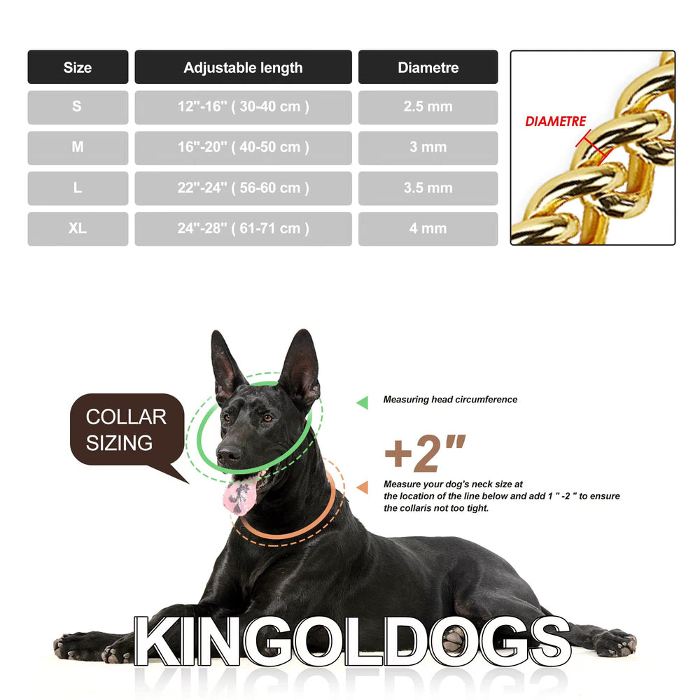 KINGOLDOGS dog-collar color silver close-up emphasizing shine and corrosion resistance.