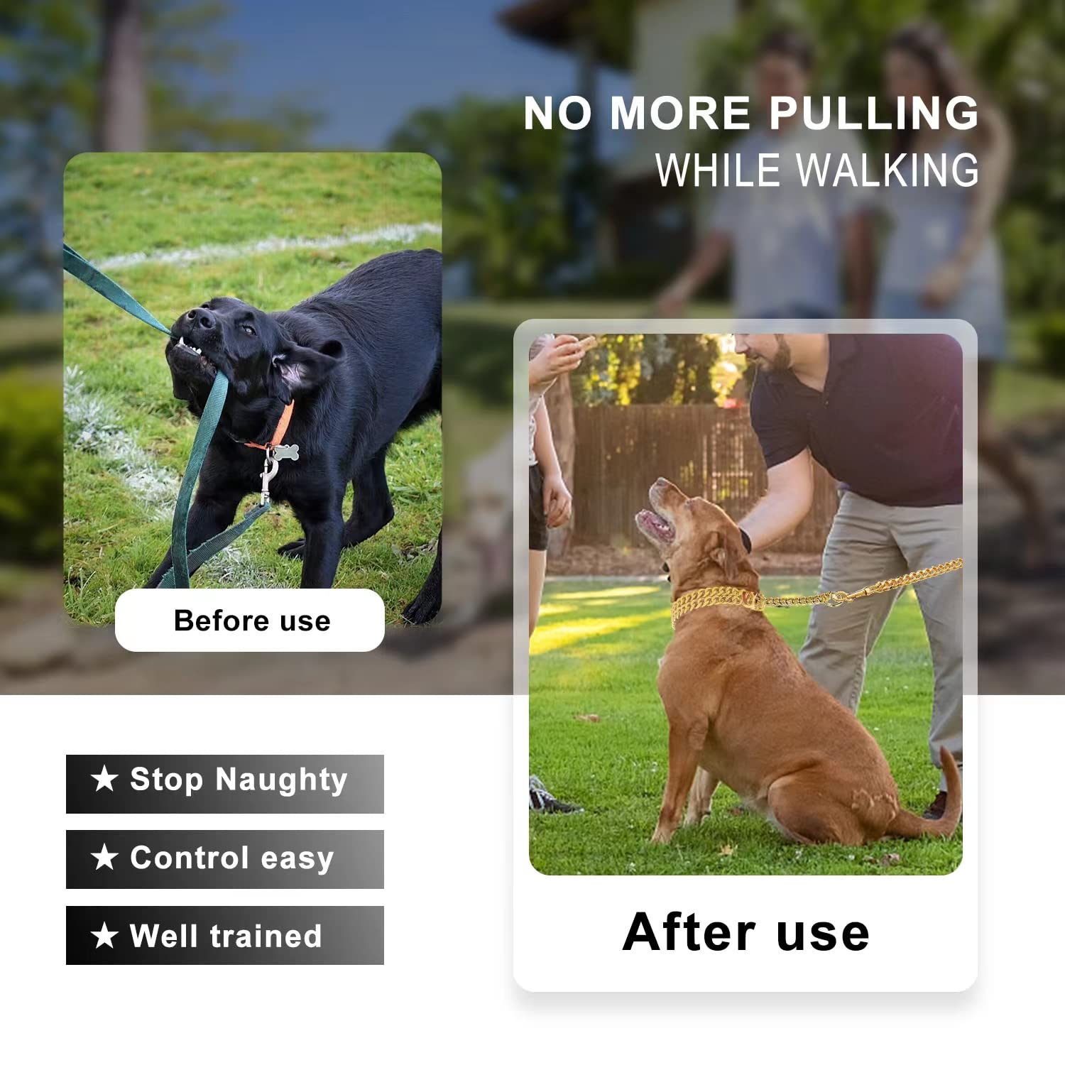 KINGOLDOGS dog-collar color black close-up showing versatile style and durable finish.