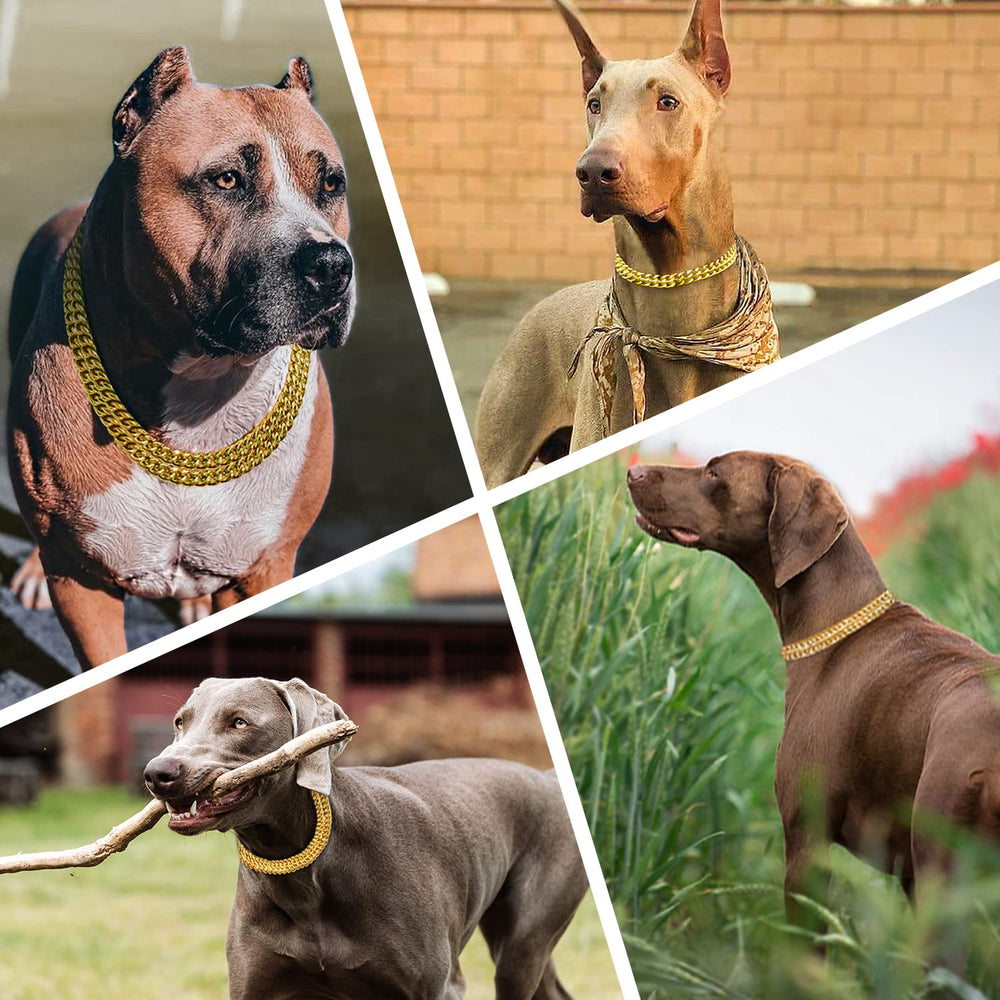 KINGOLDOGS dog-collar walking-demo shows comfortable fit and reliable control during outdoor adventures.