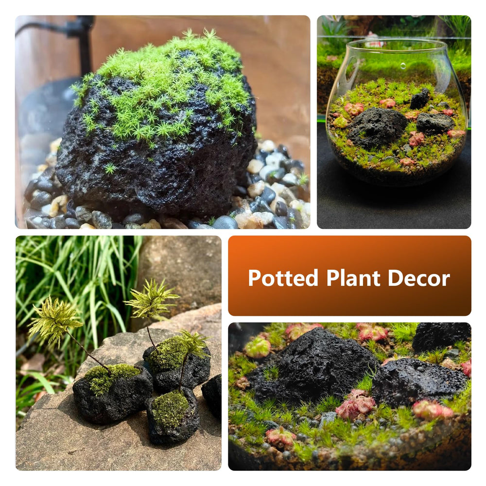 KINGRUI lava rock 8lb 5pcs set for versatile decorating