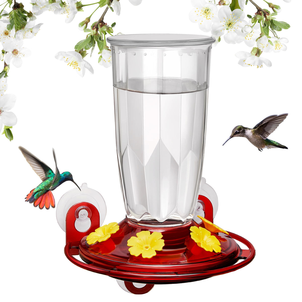 Kingsyard window hummingbird feeder front view with four ports for bee-resistant nectar access