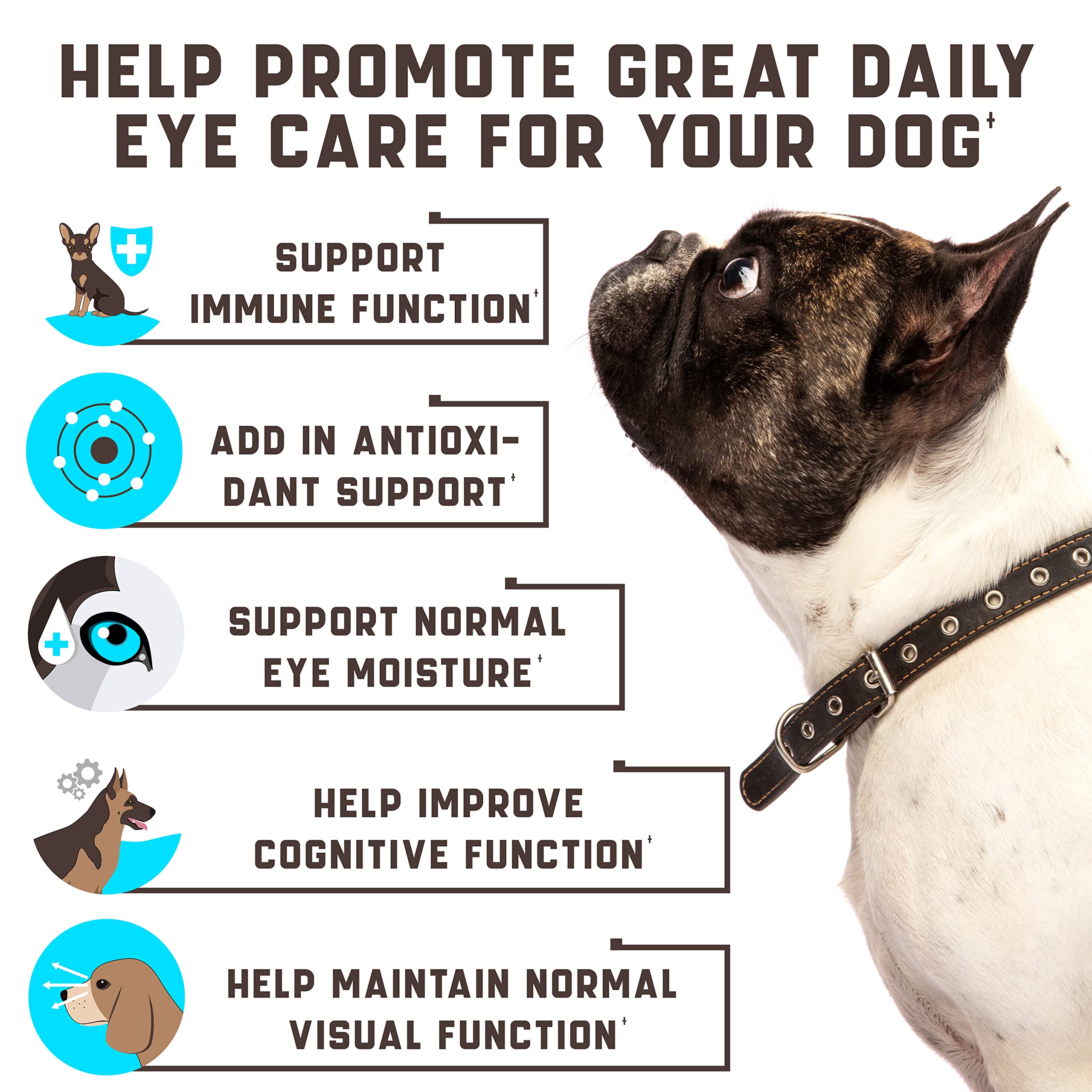 Kinpur Eye Vitamins soft chews served as a tasty daily care routine.
